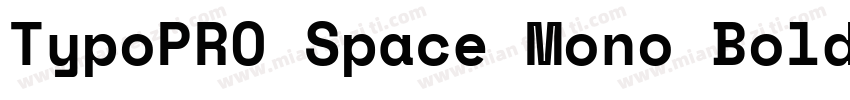 TypoPRO Space Mono Bold字体转换